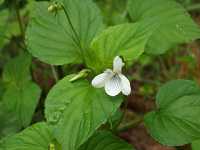 �G�]�m�^�`�c�{�X�~��