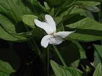 �G�]�m�^�`�c�{�X�~��