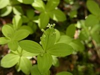 �G�]�m���c�o���O��