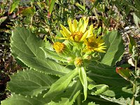 �G�]�I�O���}