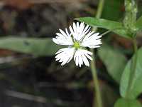 �G�]�I�I���}�n�R�x