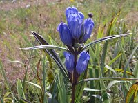 �G�]�����h�E