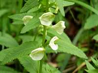 �G�]�V�I�K�}