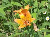 �G�]�X�J�V����