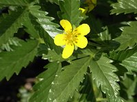 �G�]�c���L���o�C