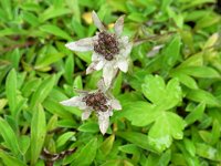 �G�]�E�X���L�\�E