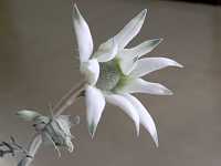 �t�����l���t�����[