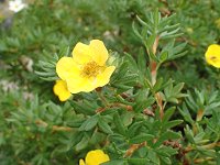 �|�e���e�B���E�t�����u���_