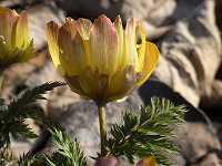 �~�`�m�N�t�N�W���\�E