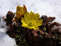 �~�`�m�N�t�N�W���\�E