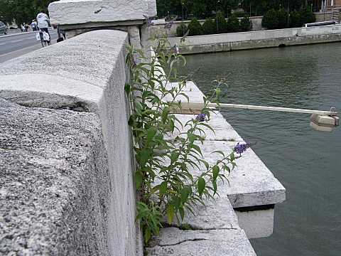 �t�T�t�W�E�c�M