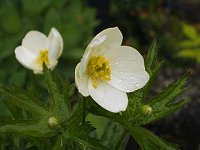 �t�^�}�^�C�`�Q