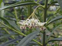 �t�E�Z���g�E���^