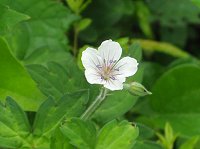 �Q���m�V���E�R