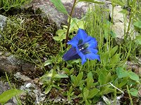 �Q���`�A�i�E�f�B�i���J