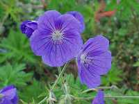 �Q���j�E��