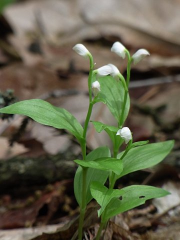 �M������