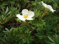 �M�����o�C