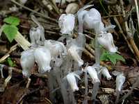 �M�������E�\�E