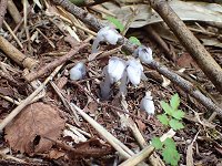 �M�������E�\�E