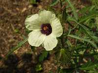 �M���Z���J