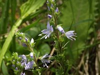 �O���o�C�d��