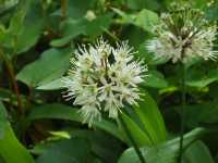 �M���E�W���j���j�N