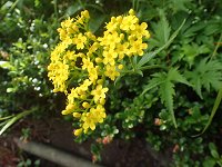 �n�N�T���I�~�i�G�V