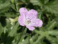 �n�}�t�E��