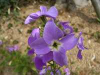 �n�i�_�C�R��