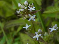 �n�b�|�E�^�J�l�Z���u��