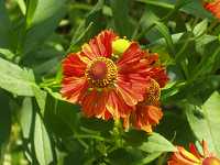 �w���j�E��