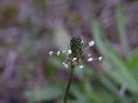 �w���I�I�o�R