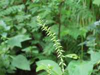 ���A���q��