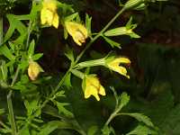 �q�L�����M