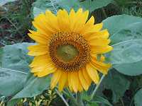 �q�}����