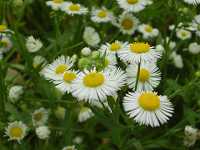 �q���W���I��