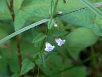 �q���i�~�L