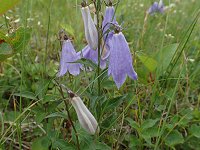 �q���V���W��