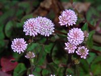 �q���c���\�o