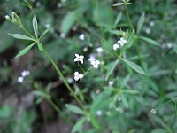 �q�����c�o���O��