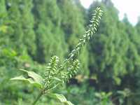 �������q��