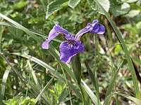 �q�I�E�M�A����