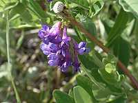 �q���n�N�T�t�W