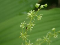 �q���n���L�U�T