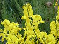 �q�g�c�o�G�j�V�_