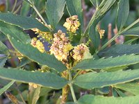 �z�\�o�q�C���M�i���e��