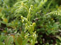 �z�\�o�m�L�\�`�h��