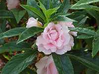 �z�E�Z���J