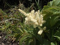 �z�U�L�i�i�J�}�h